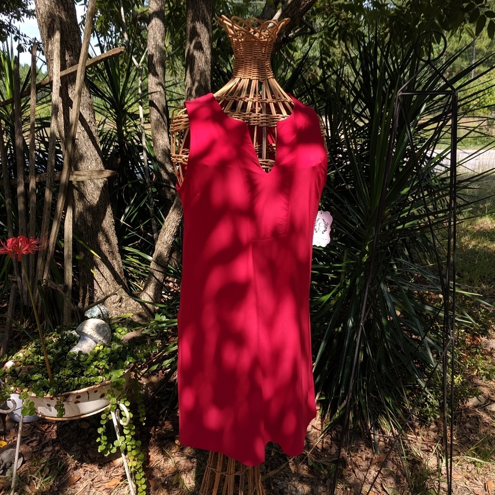 GORGEOUS Boutique red dress🌹NWT